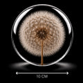 Orbis Electus - 10 cm sphere