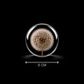 Orbis Primus - 6 cm sphere