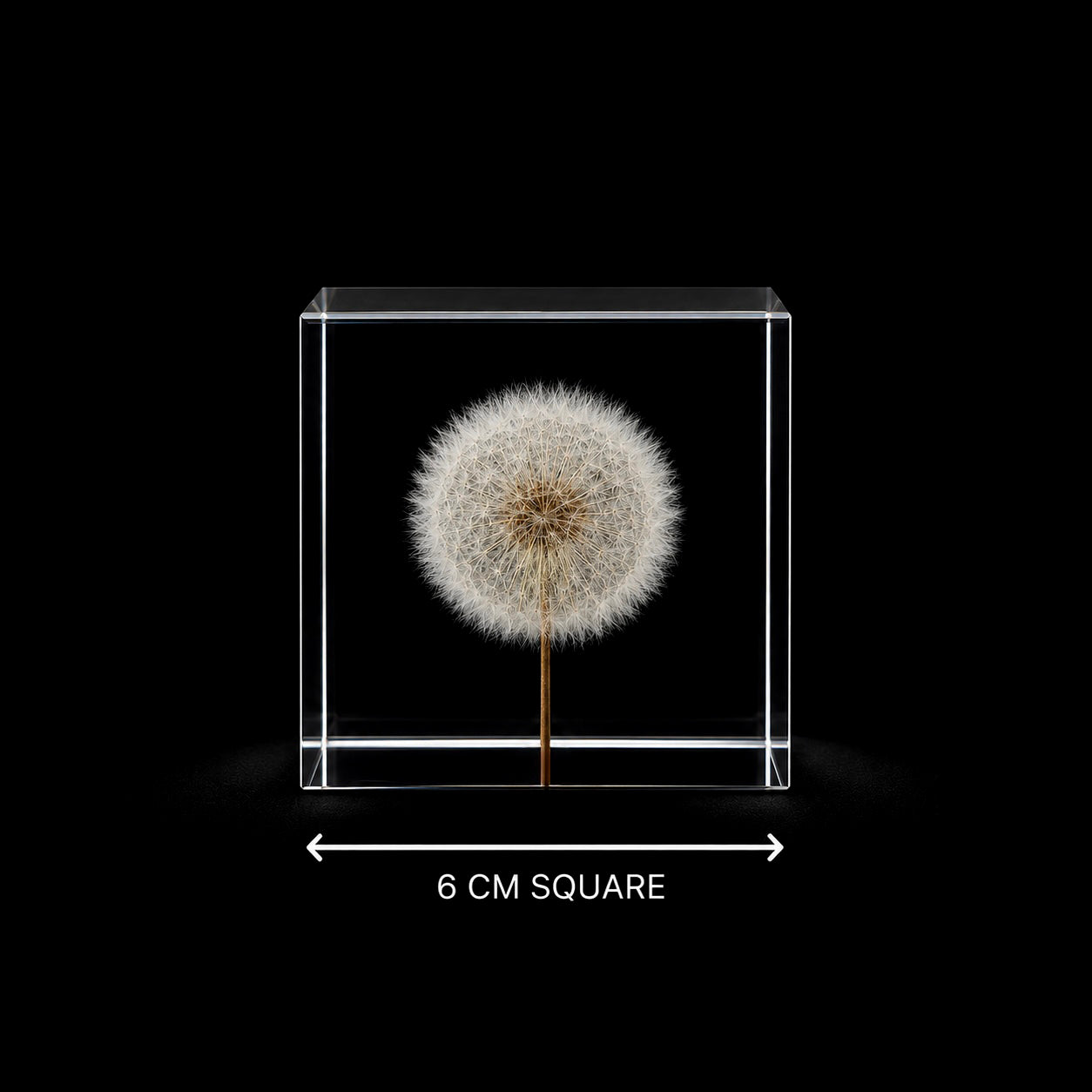 Cubus Primus - 6 cm cube