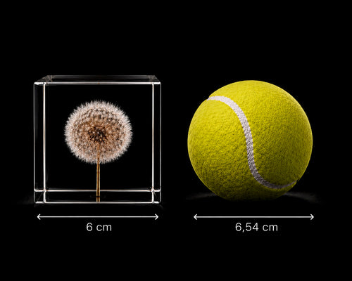 Cubus Primus - 6 cm cube