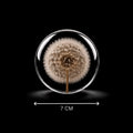 Orbis Secundus - 7 cm sphere