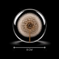 Orbis Tertius - 8 cm sphere