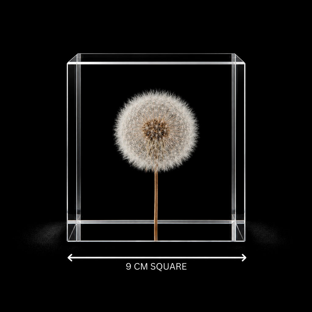 Cubus Electus – 9 cm cube