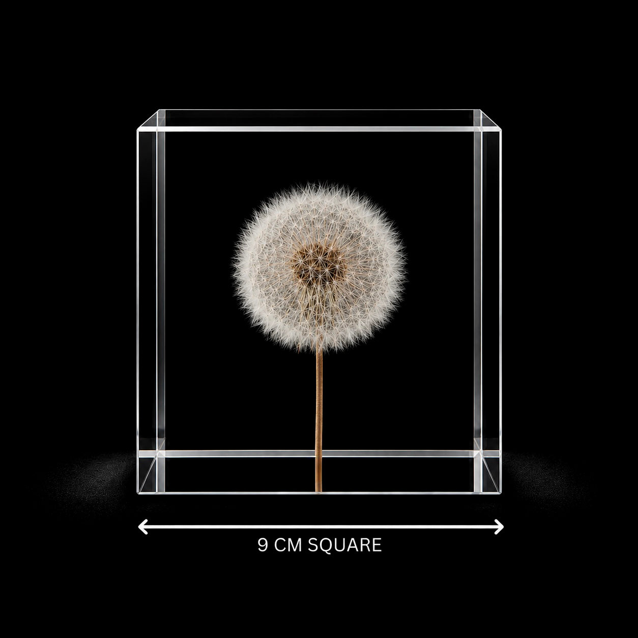 Cubus Electus – 9 cm cube