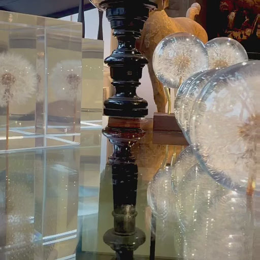 Dandelion Sphere - real dandelion preserved in resin, light and detail
